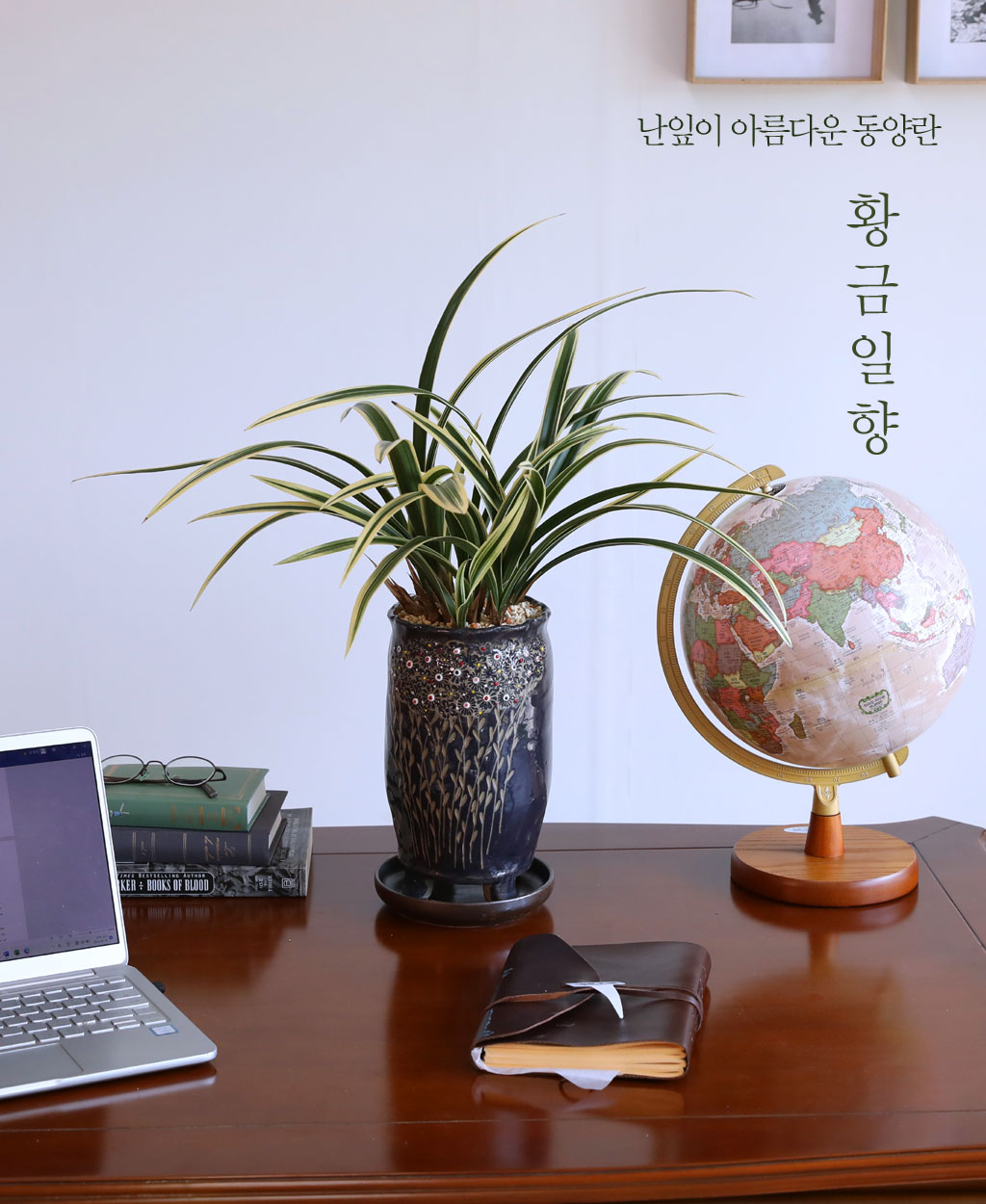 [ּ]  Ƹٿ  - Ȳ  ɹ