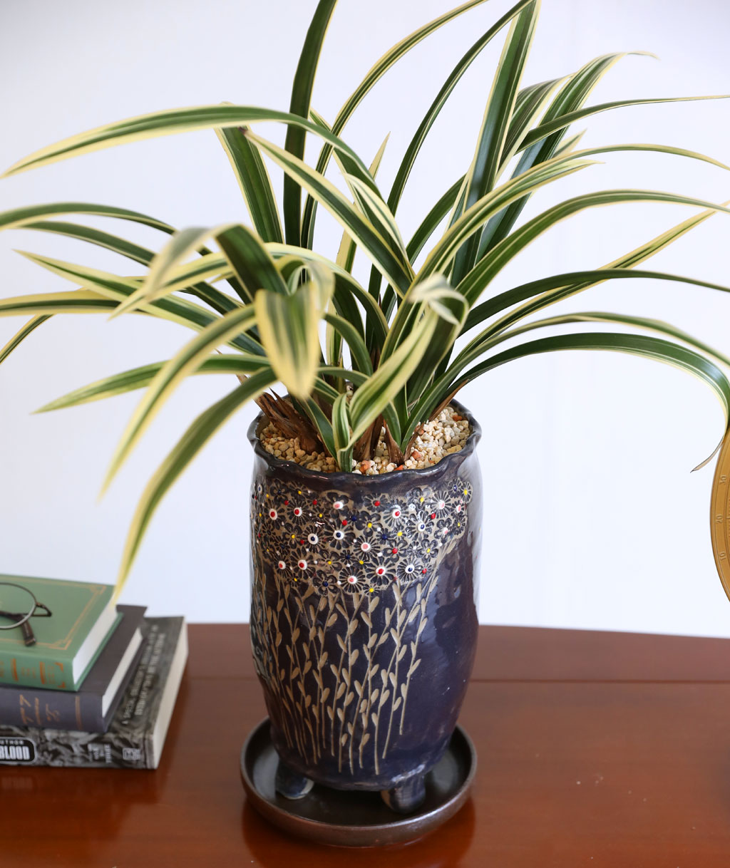 [ּ]  Ƹٿ  - Ȳ  ɹ