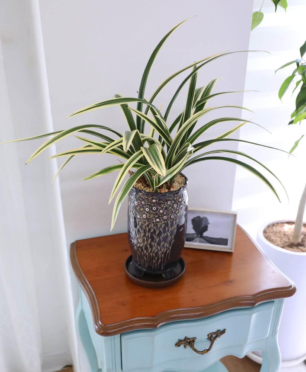 [ּ]  Ƹٿ  - Ȳ  ɹ