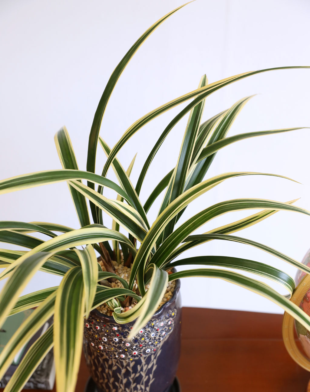 [ּ]  Ƹٿ  - Ȳ  ɹ