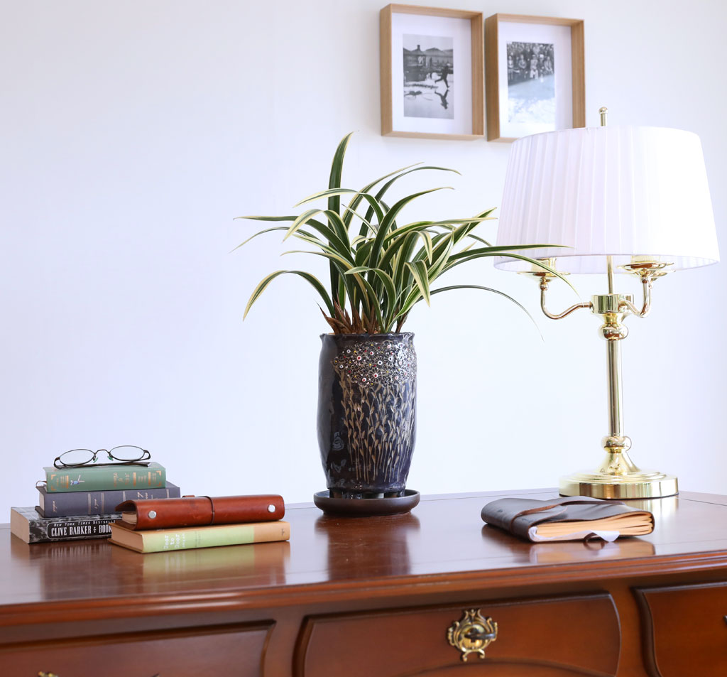 [ּ]  Ƹٿ  - Ȳ  ɹ