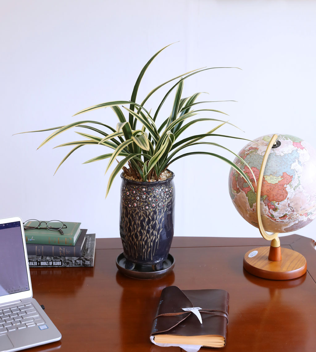 [ּ]  Ƹٿ  - Ȳ  ɹ