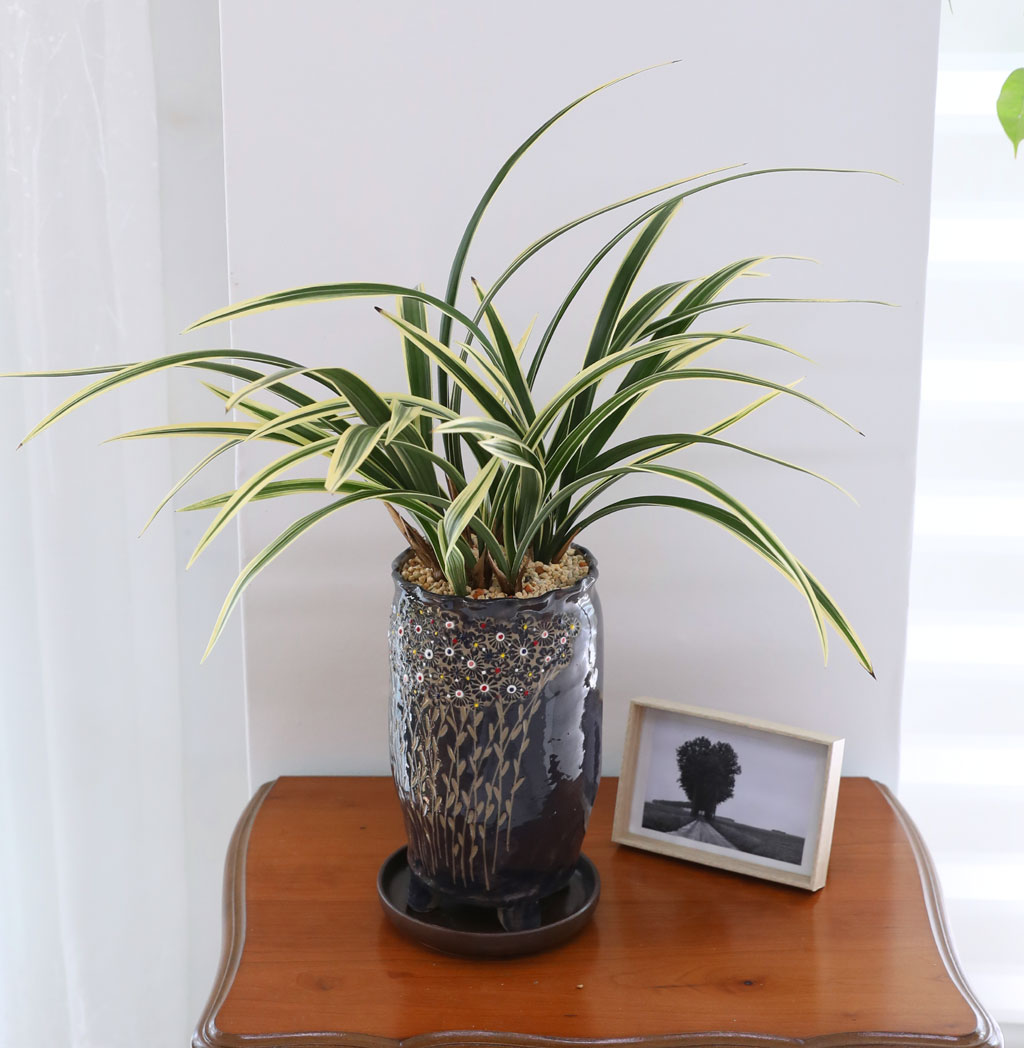 [ּ]  Ƹٿ  - Ȳ  ɹ