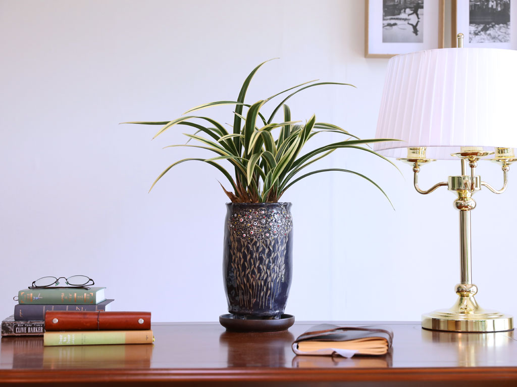 [ּ]  Ƹٿ  - Ȳ  ɹ