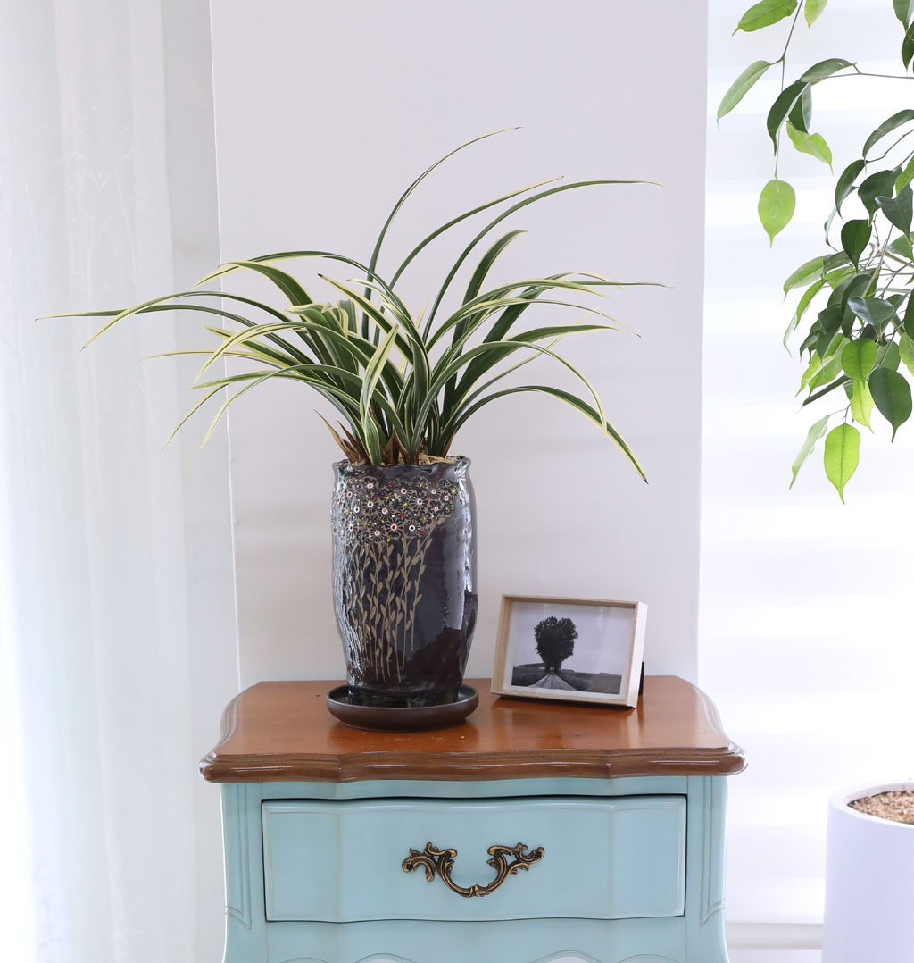 [ּ]  Ƹٿ  - Ȳ  ɹ