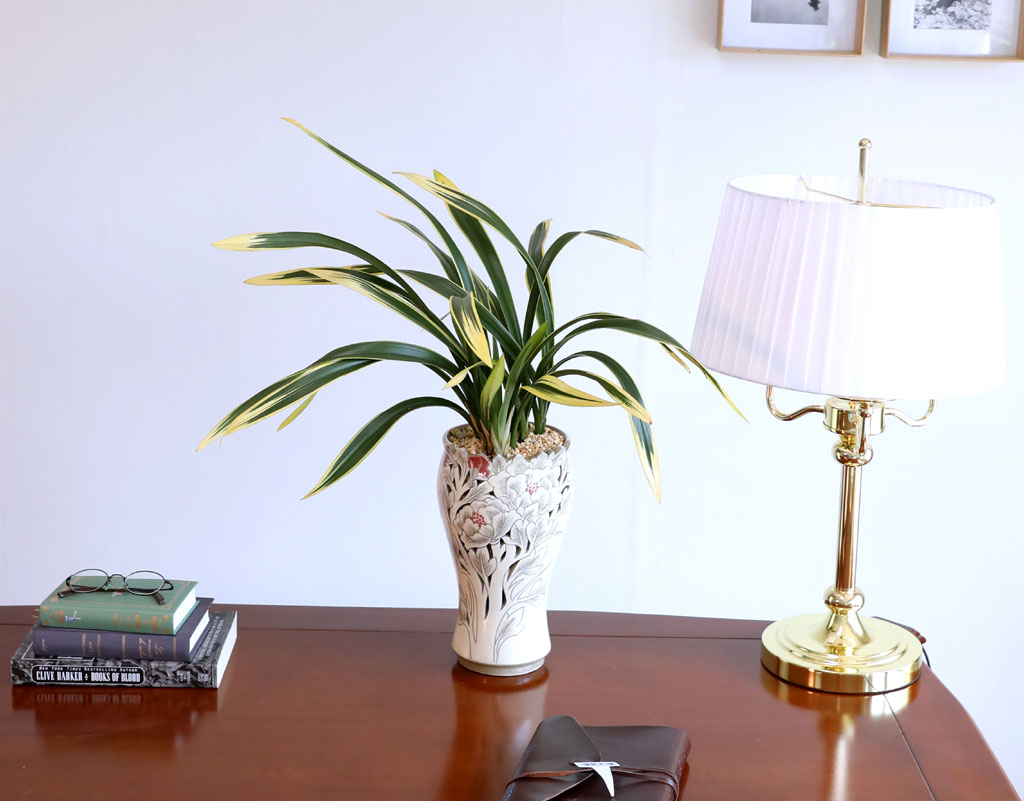 ¸íǰ µ¿¾ç¶õ - ÇÐÁöÈ ²ÉÁý ²É¹è´Þ