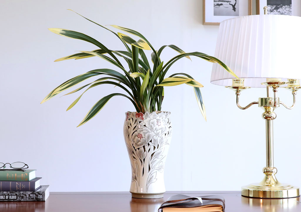 ¸íǰ µ¿¾ç¶õ - ÇÐÁöÈ ²ÉÁý ²É¹è´Þ