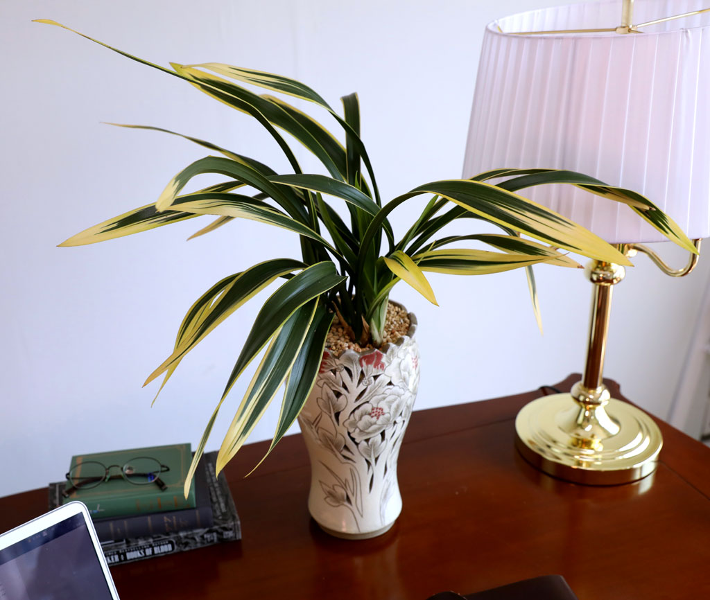 ¸íǰ µ¿¾ç¶õ - ÇÐÁöÈ ²ÉÁý ²É¹è´Þ