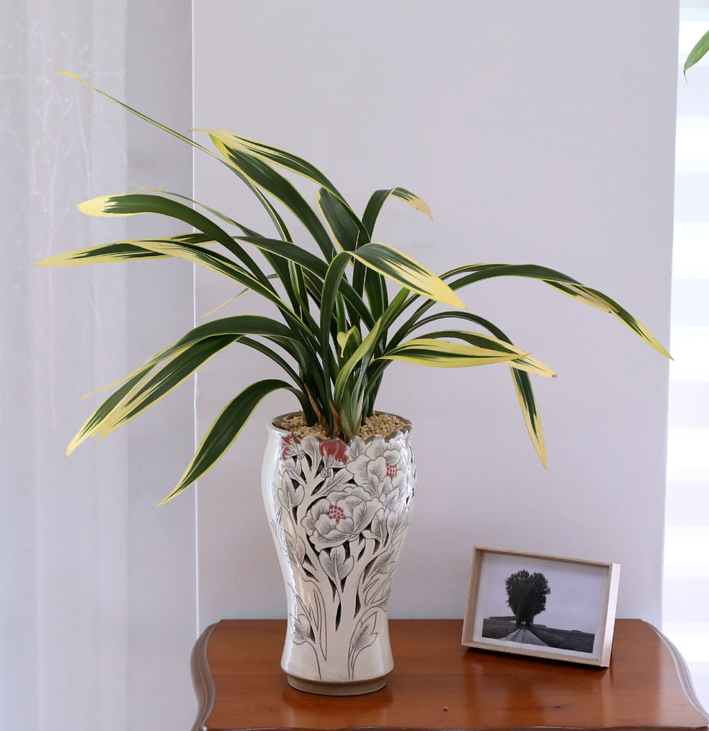 ¸íǰ µ¿¾ç¶õ - ÇÐÁöÈ ²ÉÁý ²É¹è´Þ