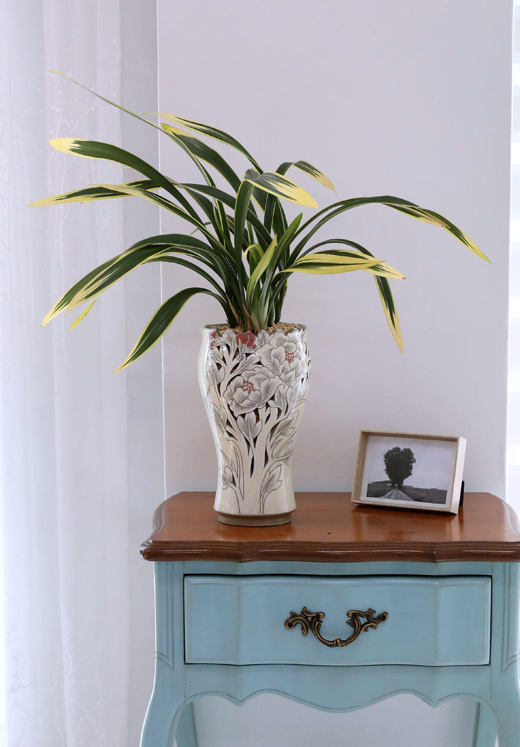 ¸íǰ µ¿¾ç¶õ - ÇÐÁöÈ ²ÉÁý ²É¹è´Þ