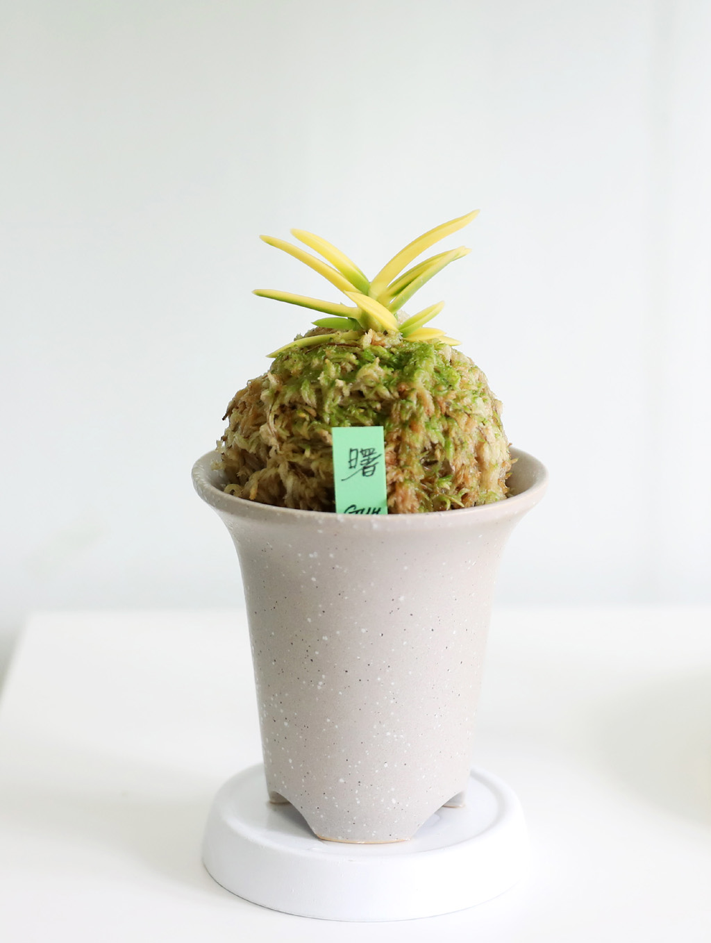 ��ǰ ����� - �αͶ� ��(��) ���� �ɹ��