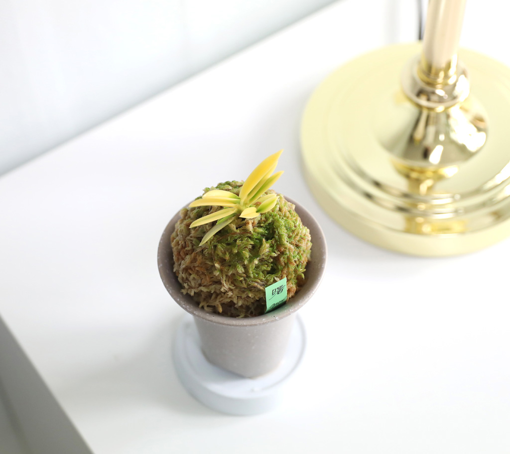 ��ǰ ����� - �αͶ� ��(��) ���� �ɹ��