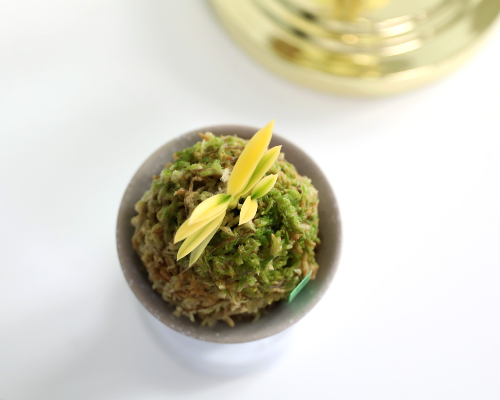 ��ǰ ����� - �αͶ� ��(��) ���� �ɹ��