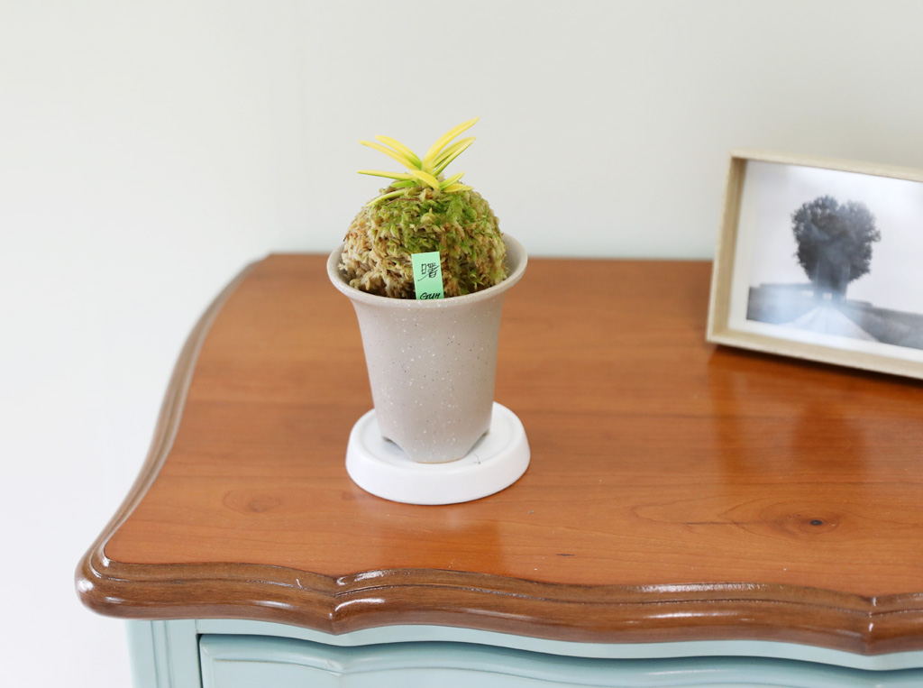 ��ǰ ����� - �αͶ� ��(��) ���� �ɹ��