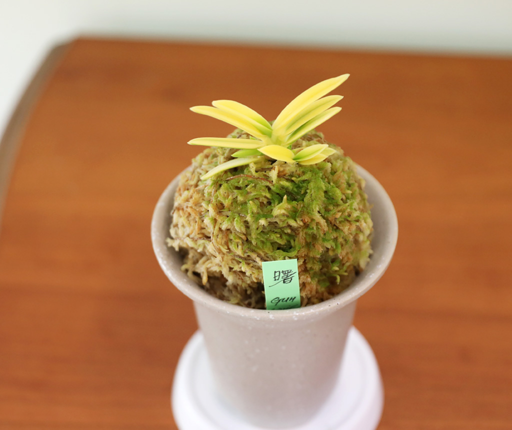 ��ǰ ����� - �αͶ� ��(��) ���� �ɹ��