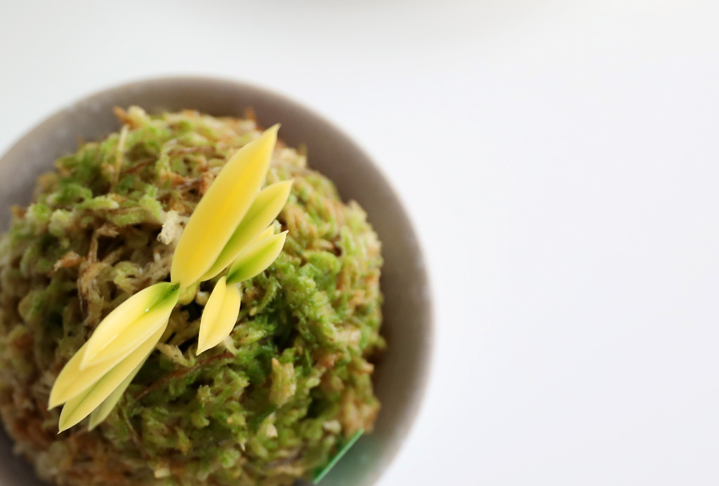 ��ǰ ����� - �αͶ� ��(��) ���� �ɹ��