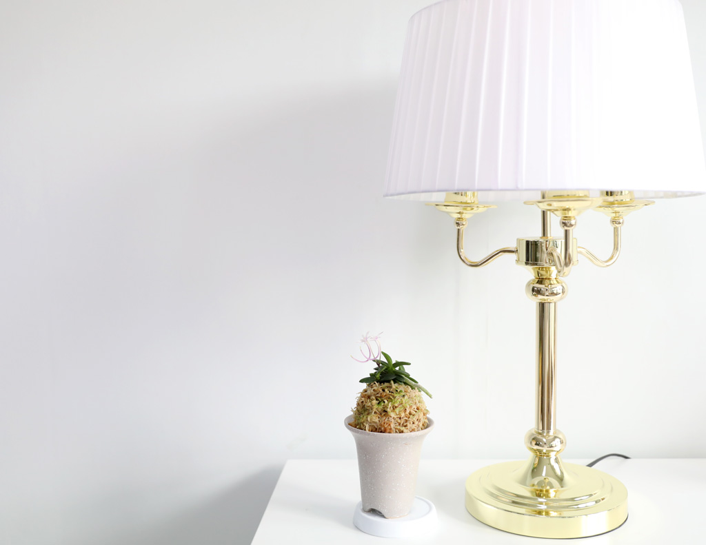 [������]�ѱ�ǳ�� -  �αͶ� �ܿ� ȫ�� ���� �ɹ��