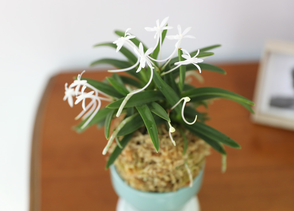 [������]���Ǵ� �ѱ�ǳ�� ���� �ɹ��