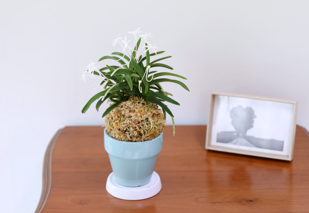 [������]���Ǵ� �ѱ�ǳ�� ���� �ɹ��