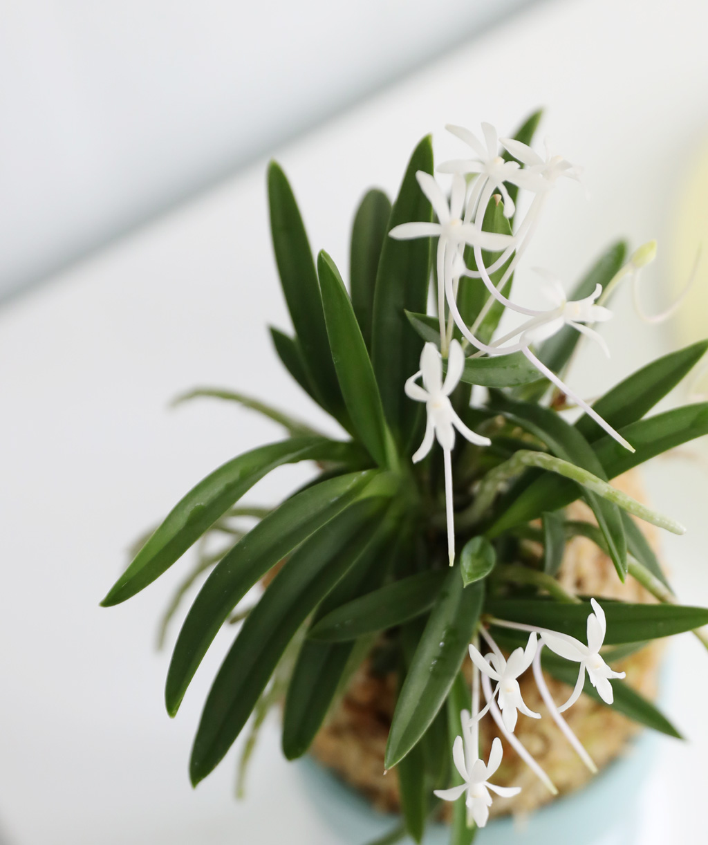 [������]���Ǵ� �ѱ�ǳ�� ���� �ɹ��