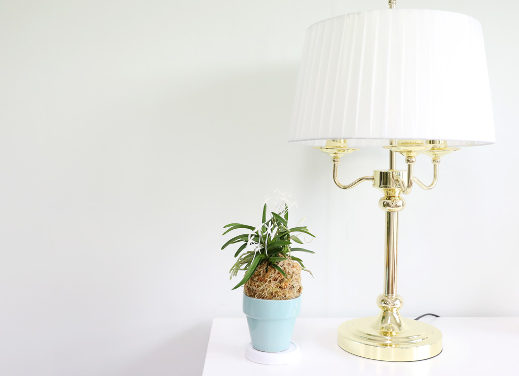 [������]���Ǵ� �ѱ�ǳ�� ���� �ɹ��