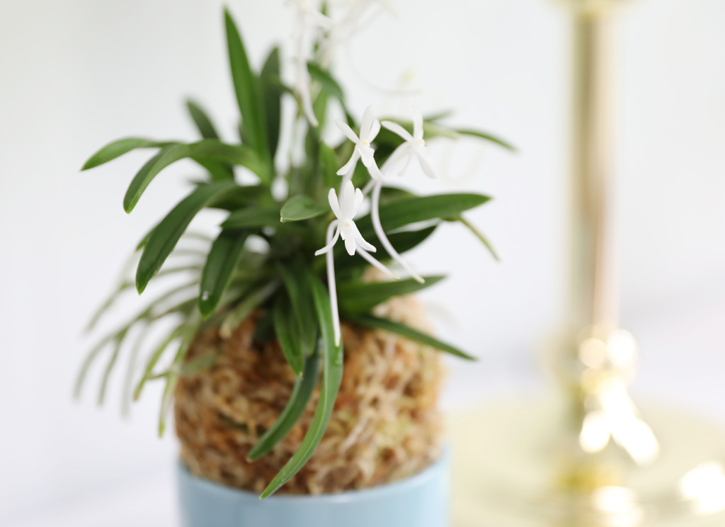 [������]���Ǵ� �ѱ�ǳ�� ���� �ɹ��