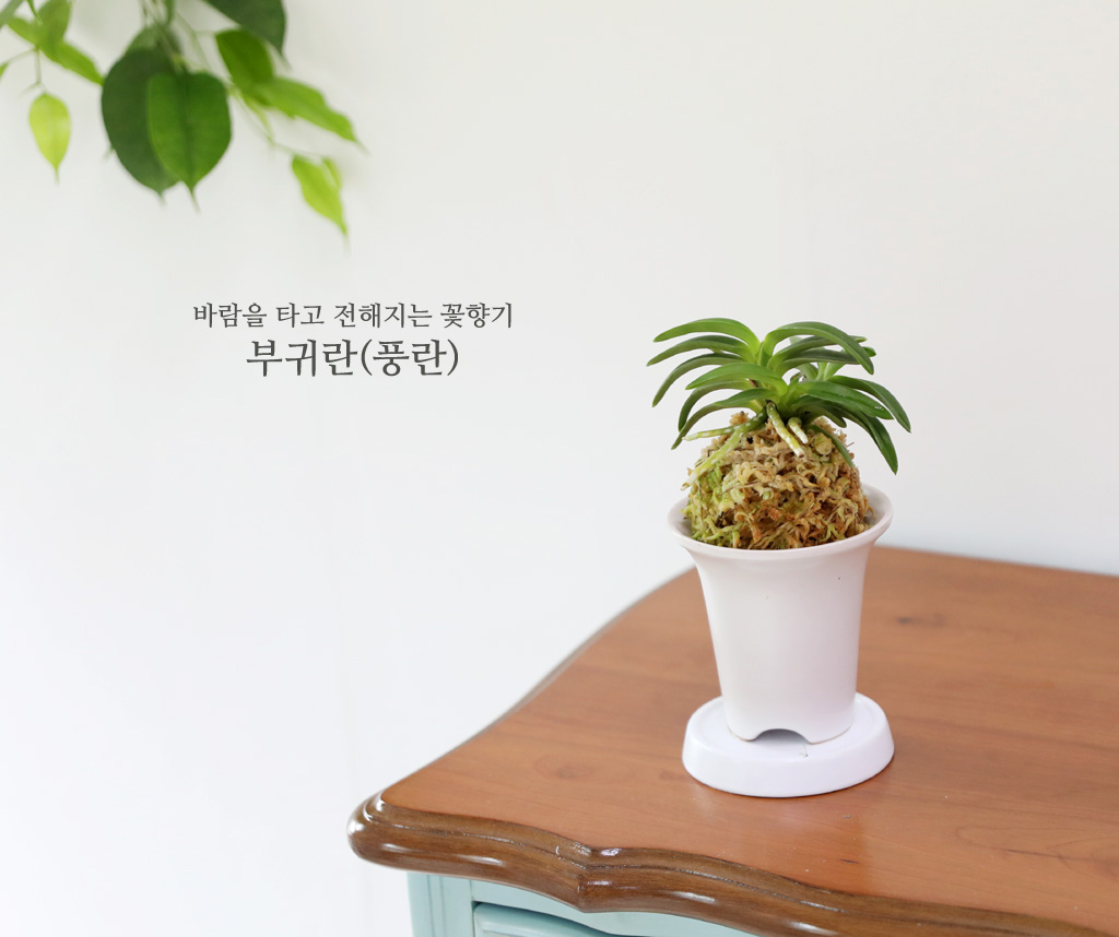 [������]�ѱ�ǳ�� -  �ο��αͶ�(2) ���� �ɹ��