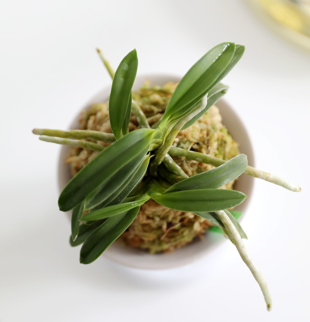 [������]�ѱ�ǳ�� -  �ο��αͶ�(2) ���� �ɹ��