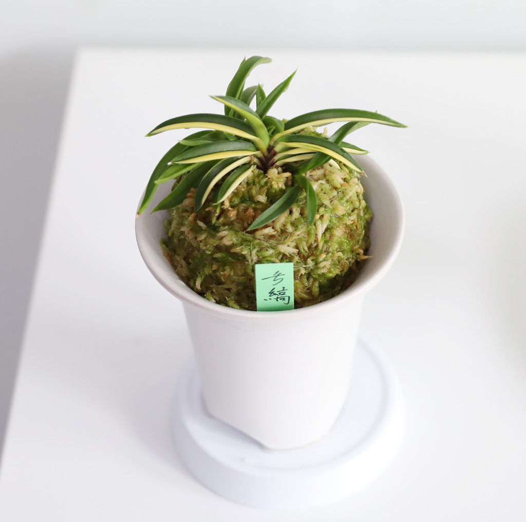 [������]�ѱ�ǳ�� -  �ο��αͶ�(2) ���� �ɹ��