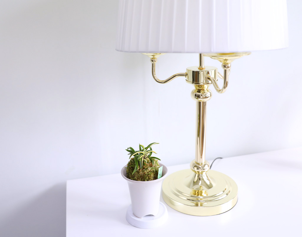 [������]�ѱ�ǳ�� -  �ο��αͶ�(2) ���� �ɹ��