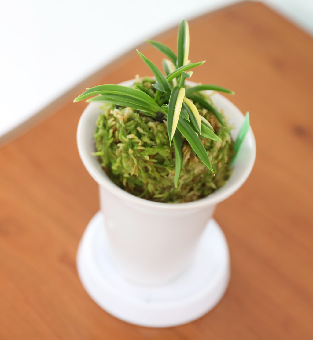 [������]�ѱ�ǳ�� -  �ο��αͶ�(2) ���� �ɹ��