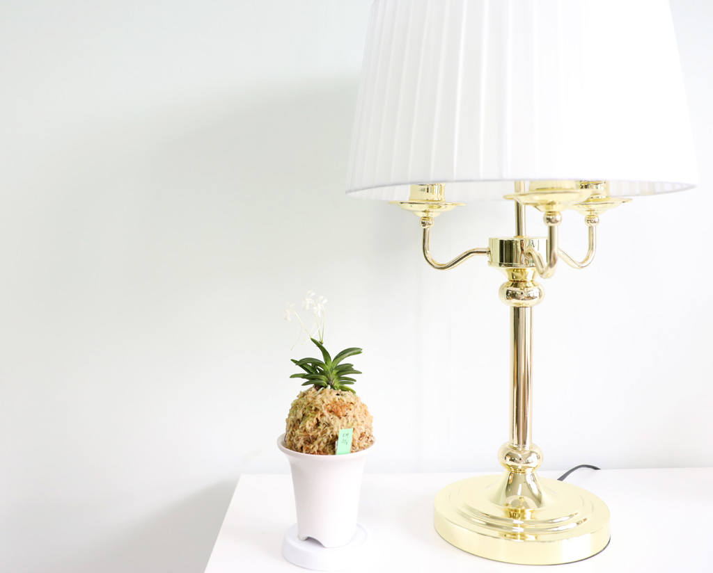 [������]�ѱ�ǳ�� -  �ο��αͶ� ��� ���� �ɹ��