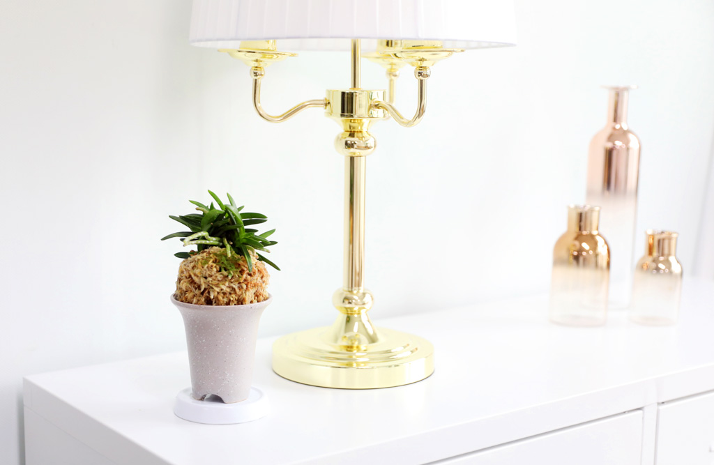 [������]�ѱ�ǳ�� -  �ο��αͶ� ���� �ɹ��