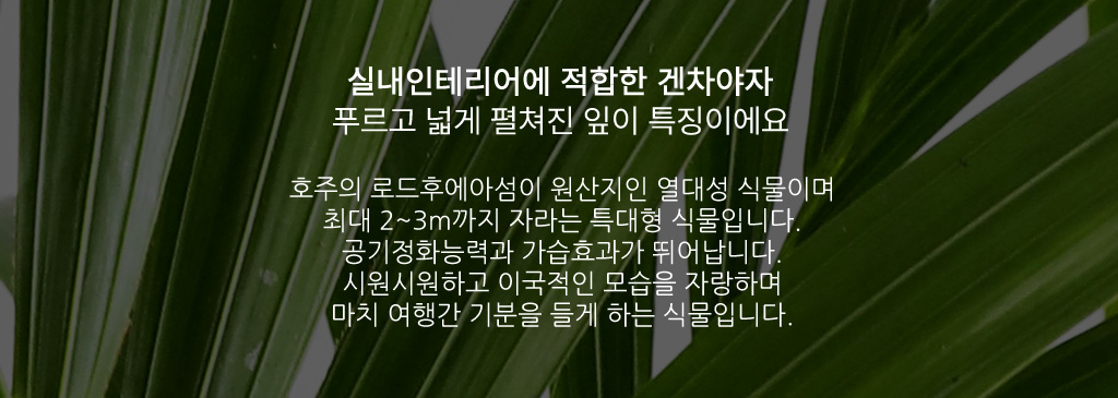 ¿ì¸®Áý ÀÎÅ׸®¾î½Ä¹° - °ÕÂ÷¾ßÀÚ ²ÉÁý ²É¹è´Þ