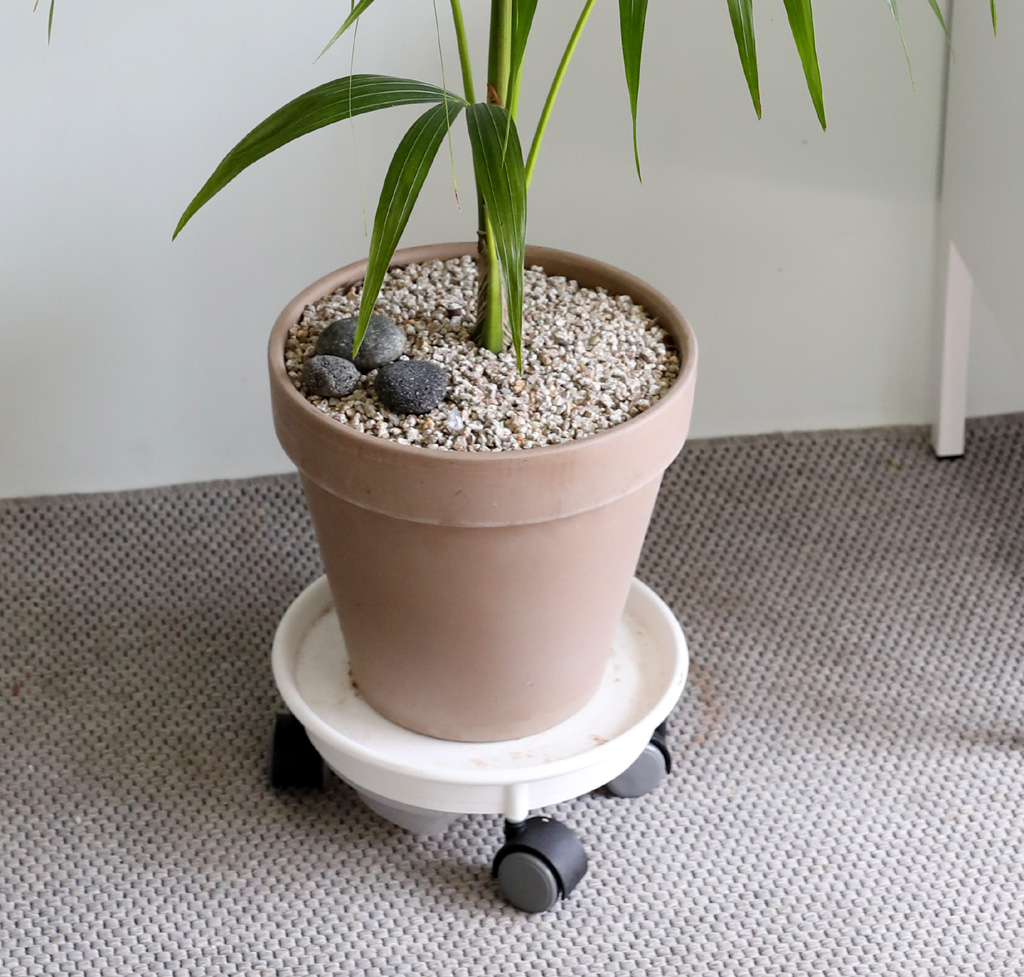 ¿ì¸®Áý ÀÎÅ׸®¾î½Ä¹° - °ÕÂ÷¾ßÀÚ ²ÉÁý ²É¹è´Þ