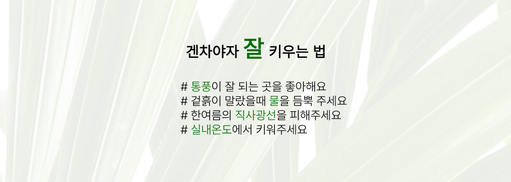 ¿ì¸®Áý ÀÎÅ׸®¾î½Ä¹° - °ÕÂ÷¾ßÀÚ ²ÉÁý ²É¹è´Þ