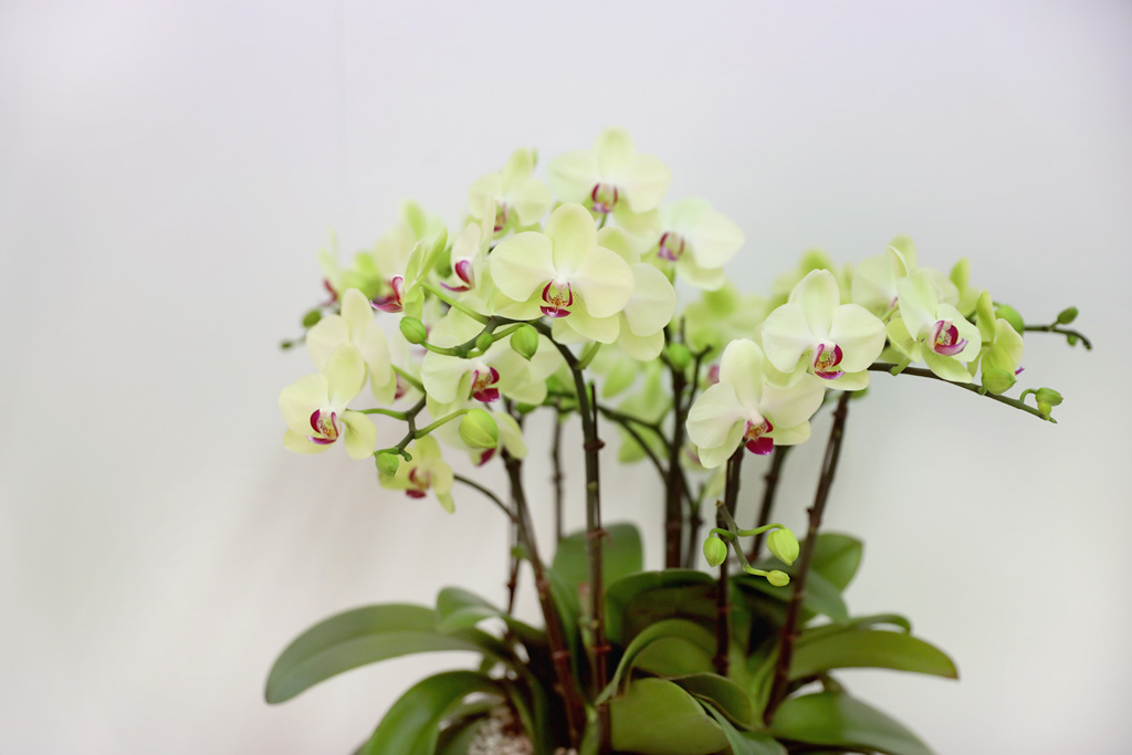 Office & Nature - ü ӹ ϴ ȣ  ()  ɹ