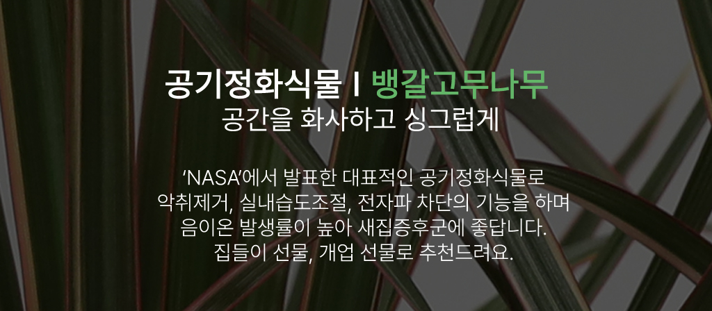 Ű¿ì±â ½¬¿î °ø±âÁ¤È½Ä¹° - ¹ð°¥°í¹«³ª¹« ²ÉÁý ²É¹è´Þ