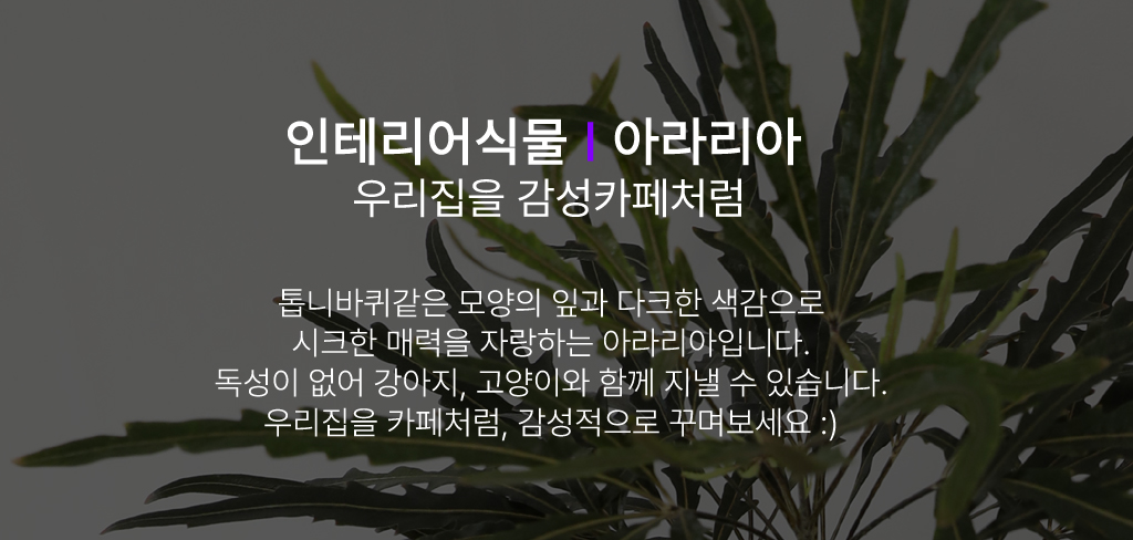 °¨¼ºÀÎÅ׸®¾î ½Ä¹° - ¾Æ¶ó¸®¾Æ (Áß)