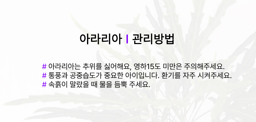 °¨¼ºÀÎÅ׸®¾î ½Ä¹° - ¾Æ¶ó¸®¾Æ (Áß)