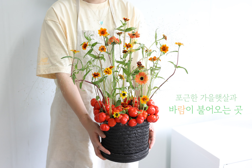 플라워박스/기본 박스/포근한 가을햇살과 바람이 불어오는 곳 꽃배달... 가을햇살과 바람이 불어오는 곳 포근한 가을햇살과 바람이 불어오는... 