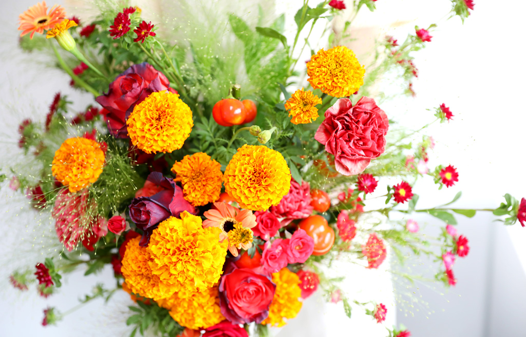 Autumn breeze - °¡À»ÀÇ ³ë·¡ ²ÉÁý ²É¹è´Þ