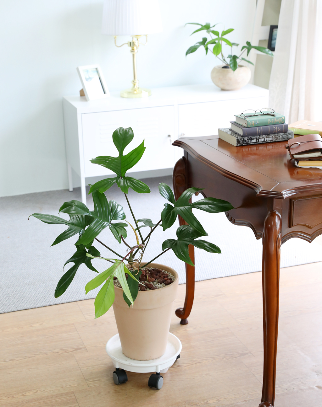 ũ ݷĹ ã´ٸ ÷θٺƼ ()