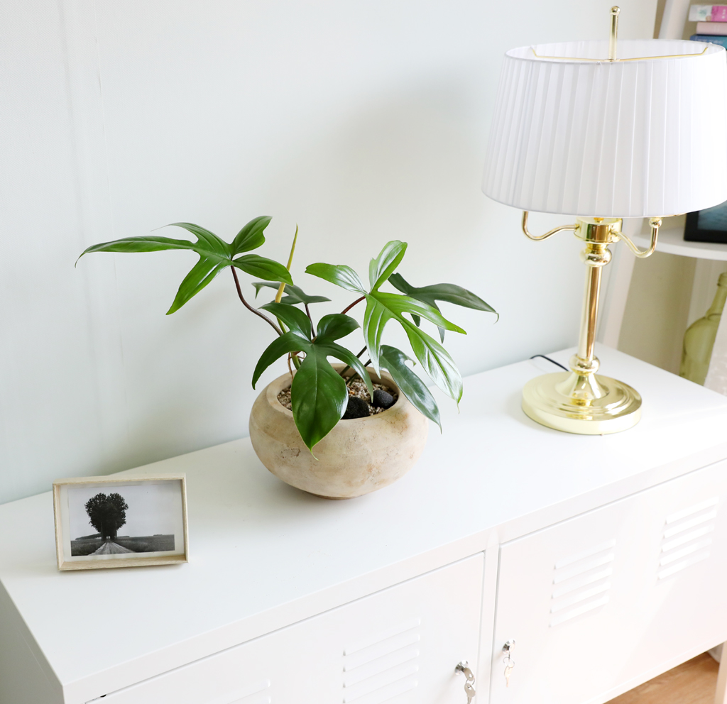  ݷĹ - ÷θٺƼ()  ɹ