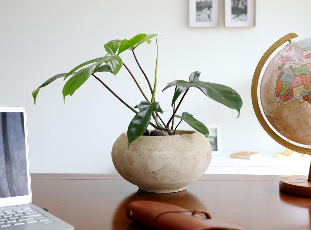  ݷĹ - ÷θٺƼ()  ɹ