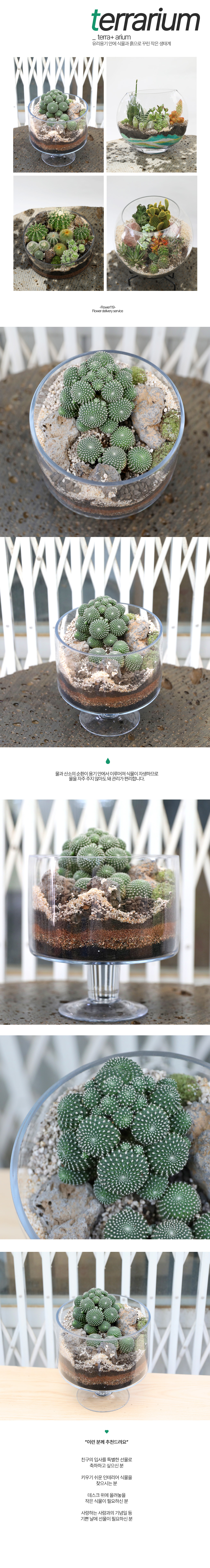 ȿ   - ͱ۶  (̼)  ɹ