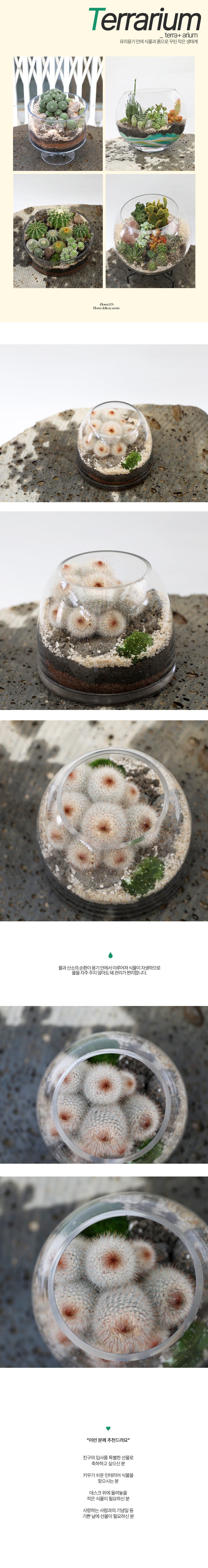 À¯¸®º´ ¾È¿¡ ÀÛÀº Á¤¿ø - ´ÜÁöȺ´ ¼±ÀÎÀåÅ׶󸮿ò(¼ÒÁ¤±º»ý¼±ÀÎÀå)