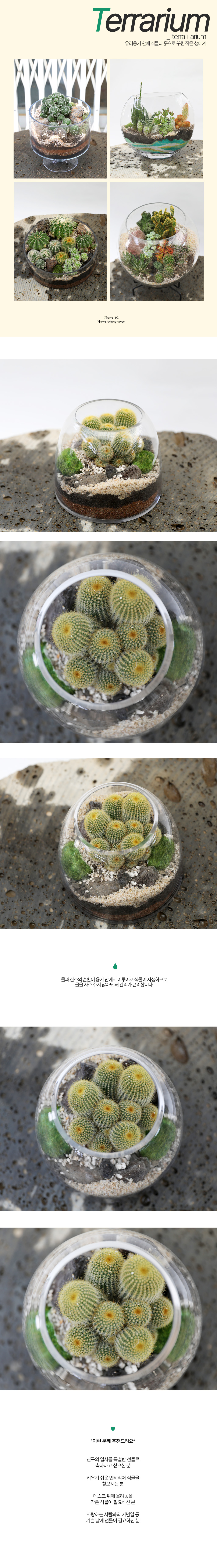 À¯¸®º´ ¾È¿¡ ÀÛÀº Á¤¿ø - ´ÜÁöȺ´ ¼±ÀÎÀåÅ׶󸮿ò(±ÝȲȯ±º»ý¼±ÀÎÀå)