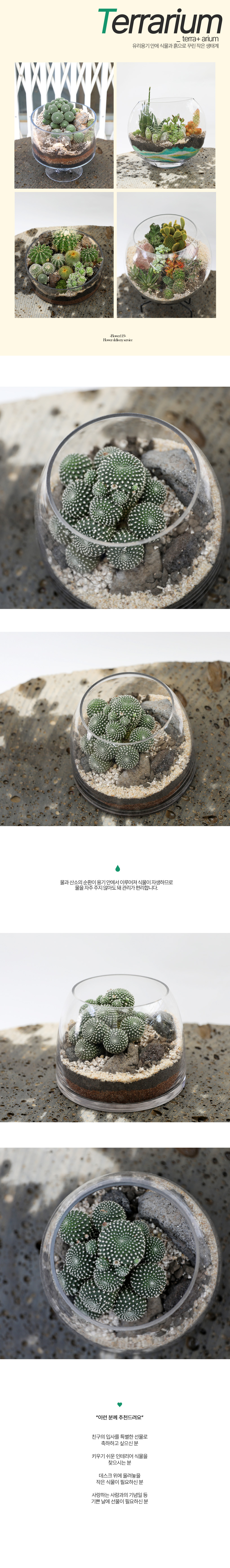  ȿ   - ȭ ׶󸮿(̼)  ɹ