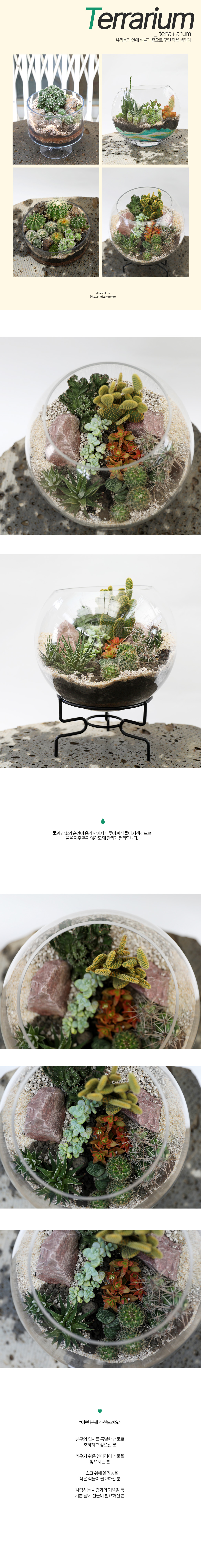  ȿ   - ׺  Ư(ٸ)  ɹ